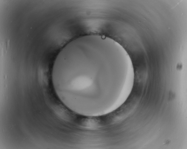 X0000103970223200809191542