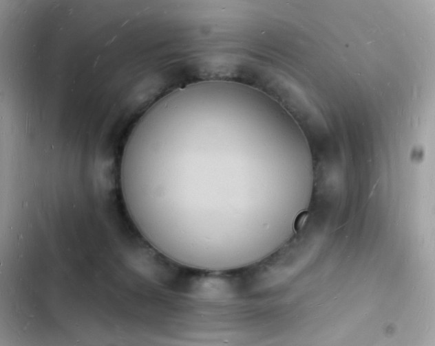 X0000103970224200809191541