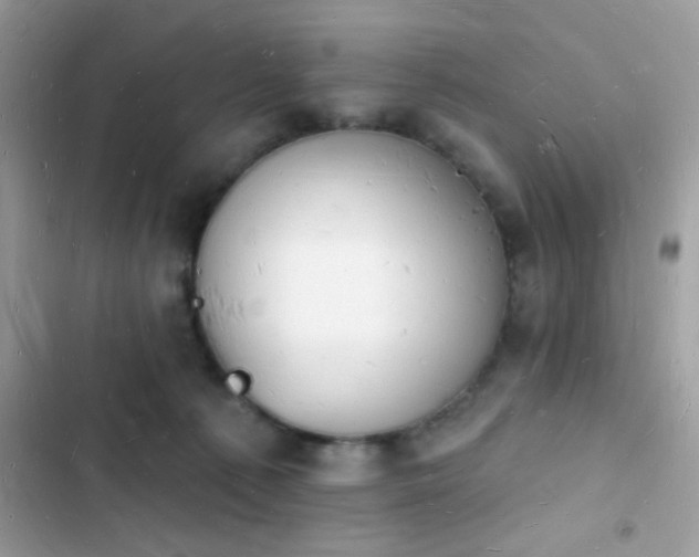 X0000103970225200809191541