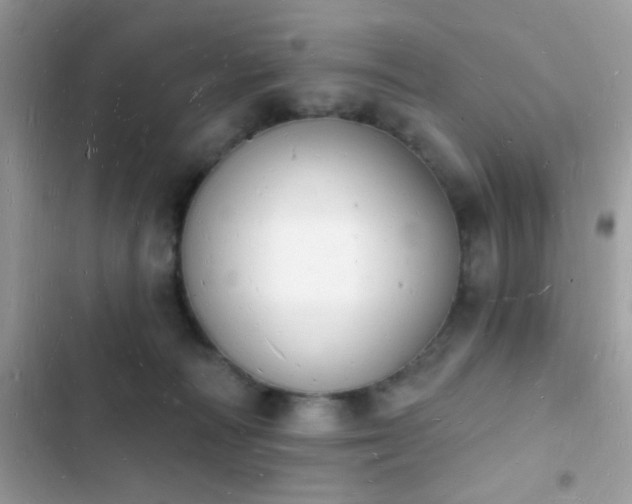 X0000103970226200809191541