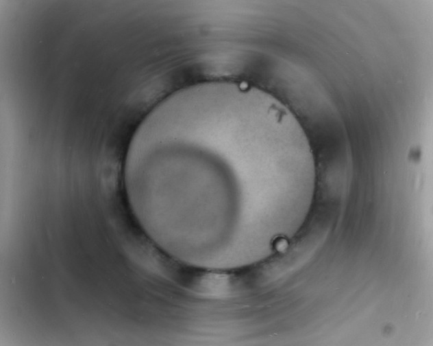 X0000103970227200809191541