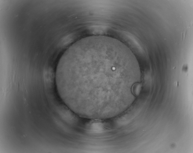 X0000103970228200809191541