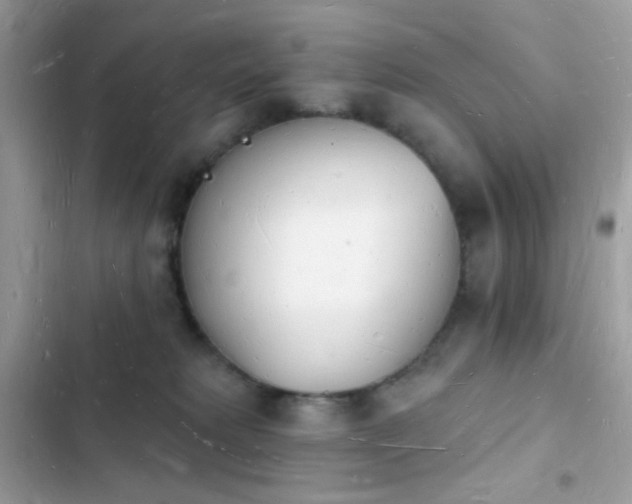 X0000103970229200809191541