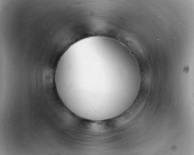 X0000103970232200809191541