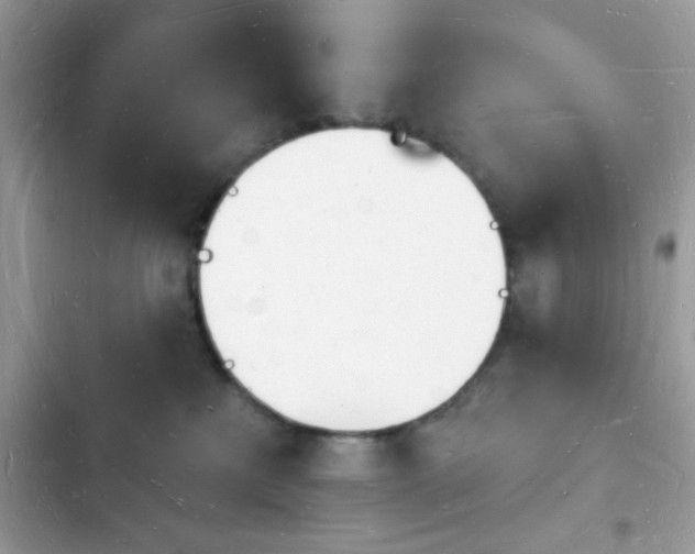 X0000103970233200809191541