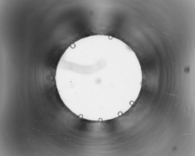 X0000103970237200809191541