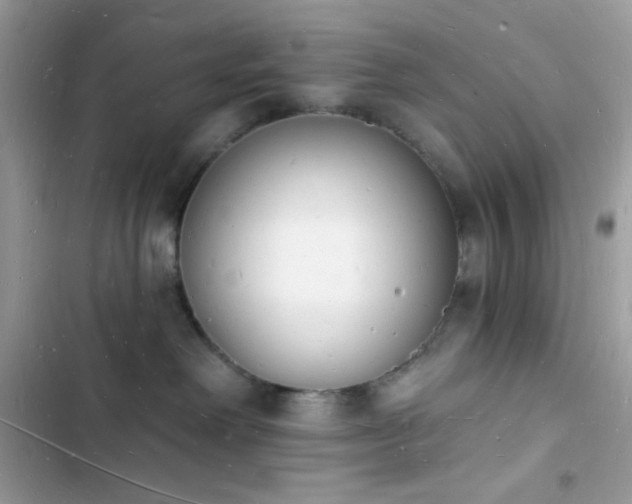 X0000103970238200809191541