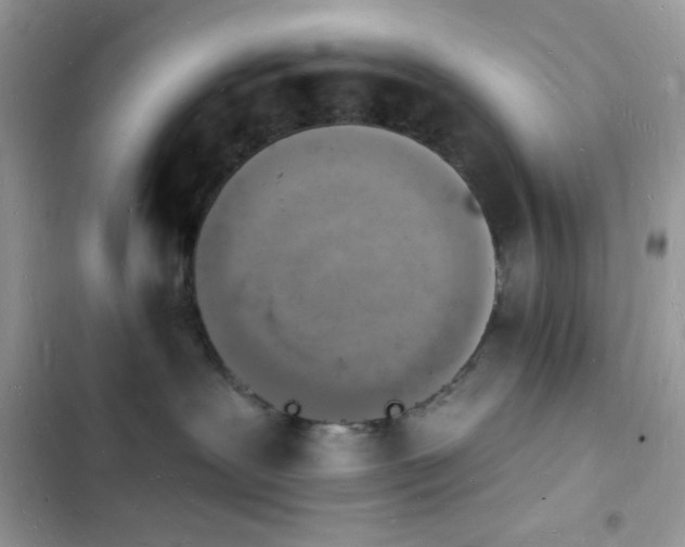 X0000103970239200809191541