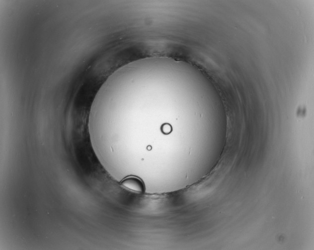 X0000103970240200809191541