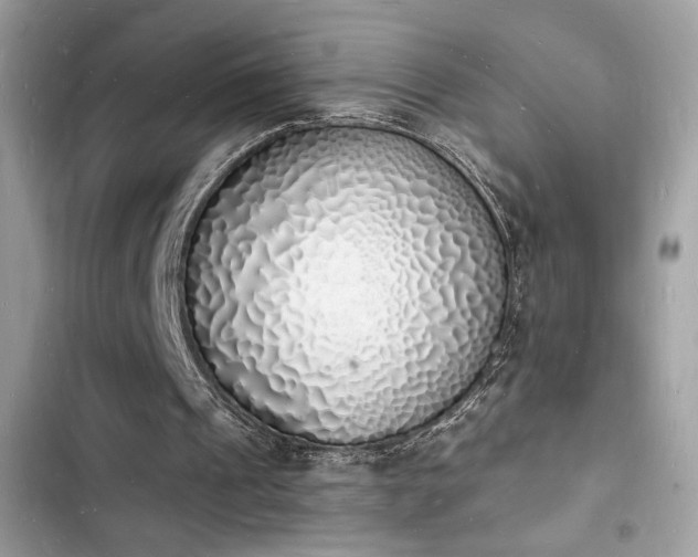 X0000103970241200809191540