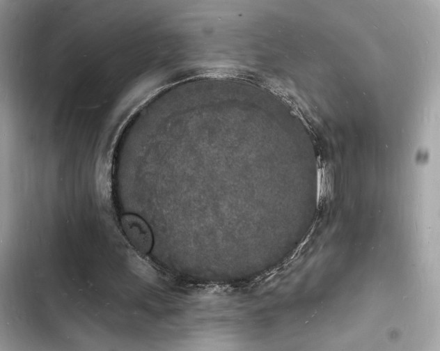 X0000103970243200809191540