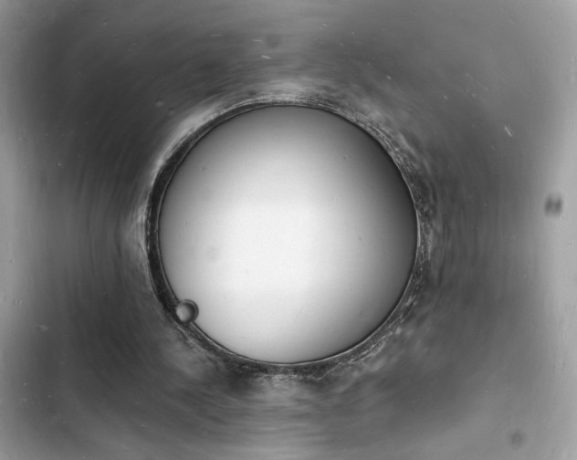 X0000103970244200809191540