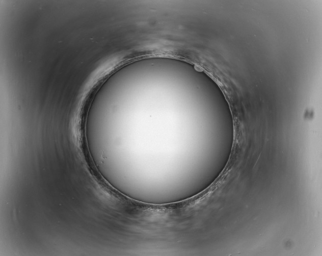 X0000103970245200809191540