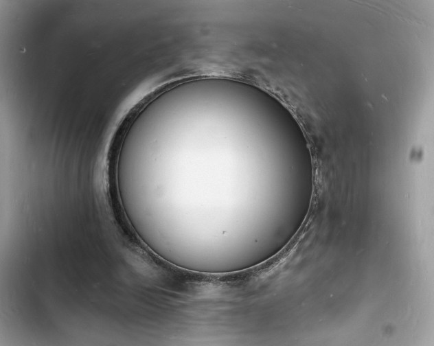 X0000103970246200809191541