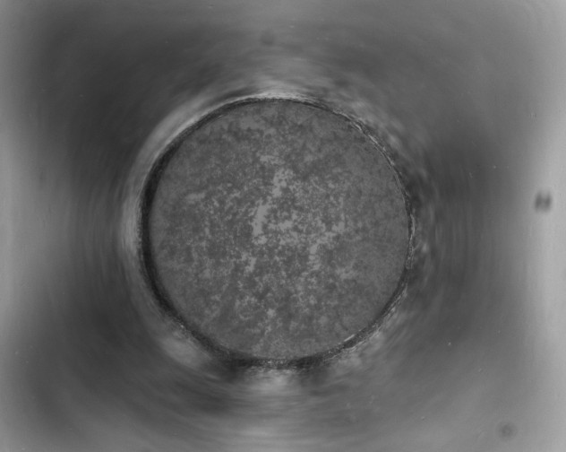 X0000103970247200809191541