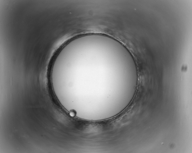 X0000103970248200809191541