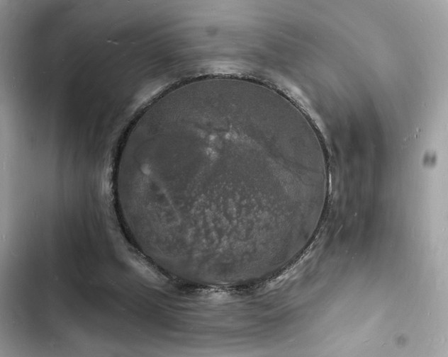 X0000103970249200809191541