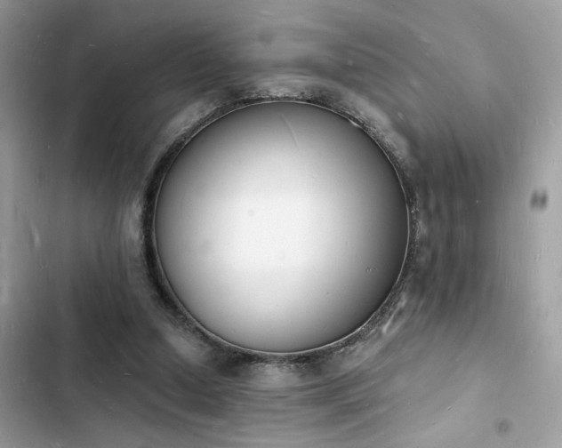 X0000103970250200809191541