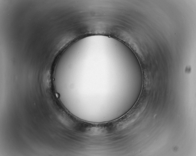 X0000103970251200809191541