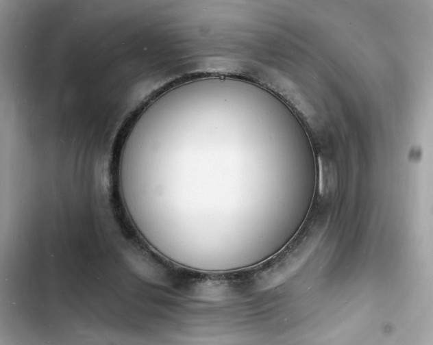 X0000103970252200809191541