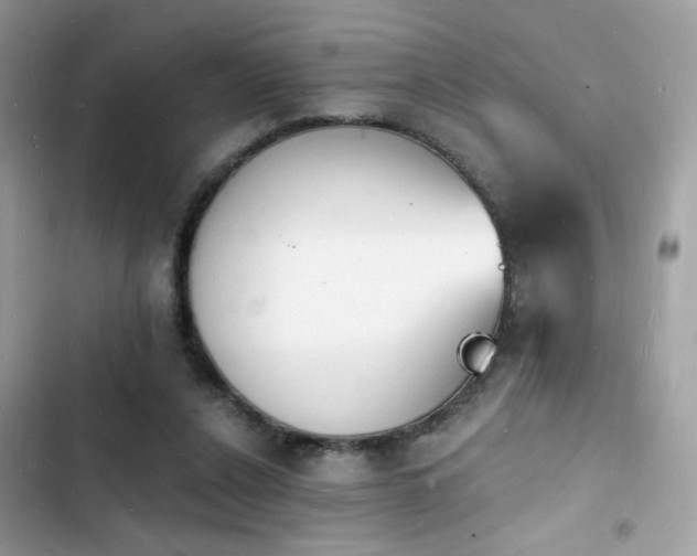 X0000103970256200809191541