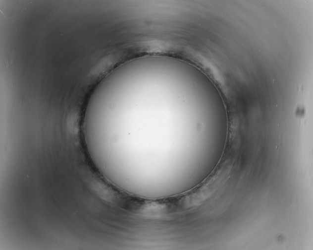 X0000103970257200809191541