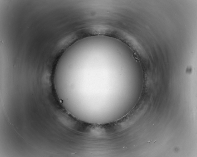 X0000103970258200809191541