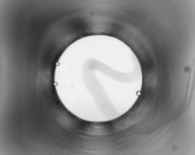 X0000103970260200809191541