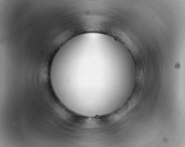 X0000103970261200809191541