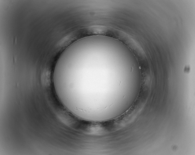 X0000103970262200809191541