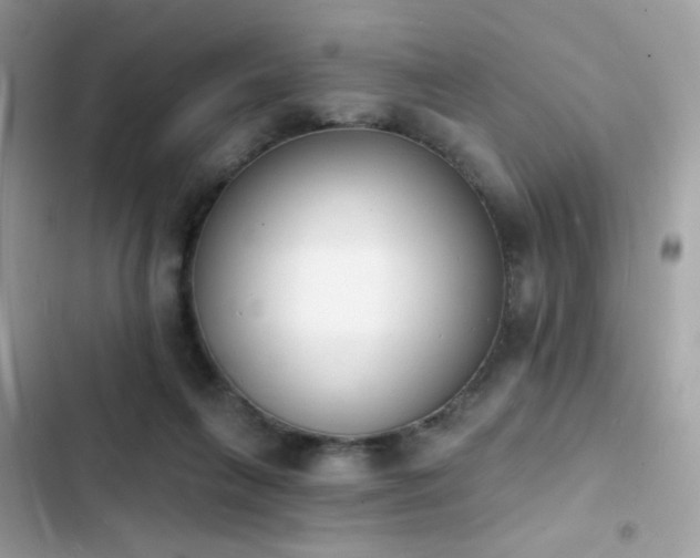 X0000103970263200809191541