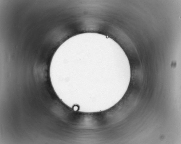 X0000103970264200809191541