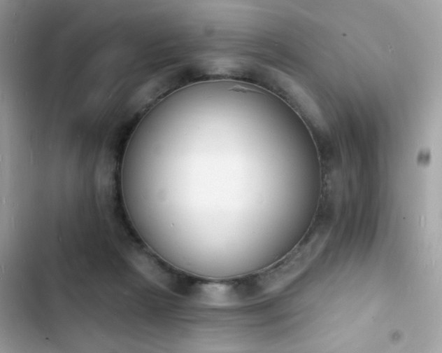 X0000103970265200809191541