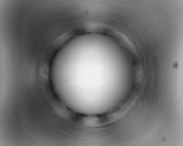 X0000103970266200809191541