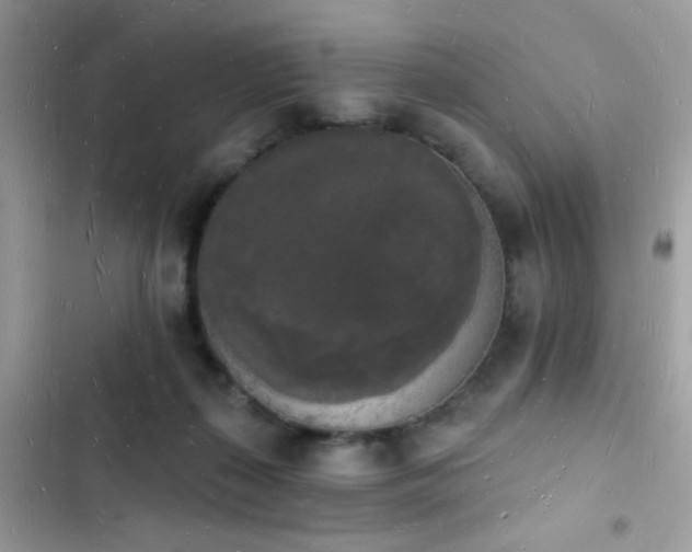 X0000103970267200809191541