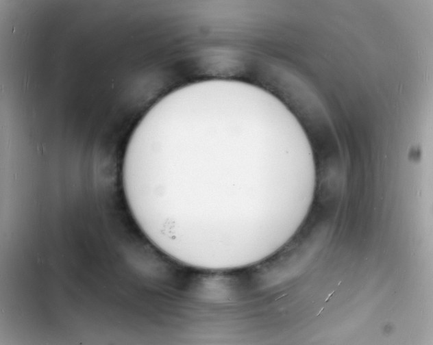 X0000103970268200809191541