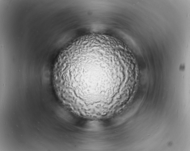 X0000103970269200809191541