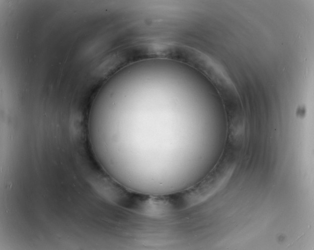 X0000103970270200809191541