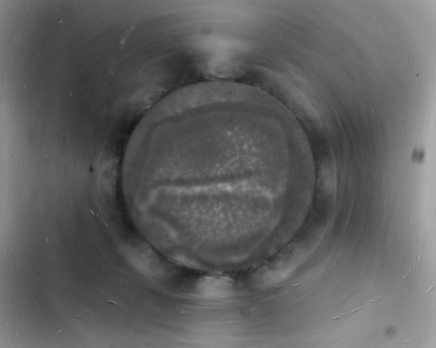 X0000103970271200809191541