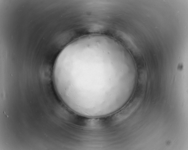 X0000103970273200809191541