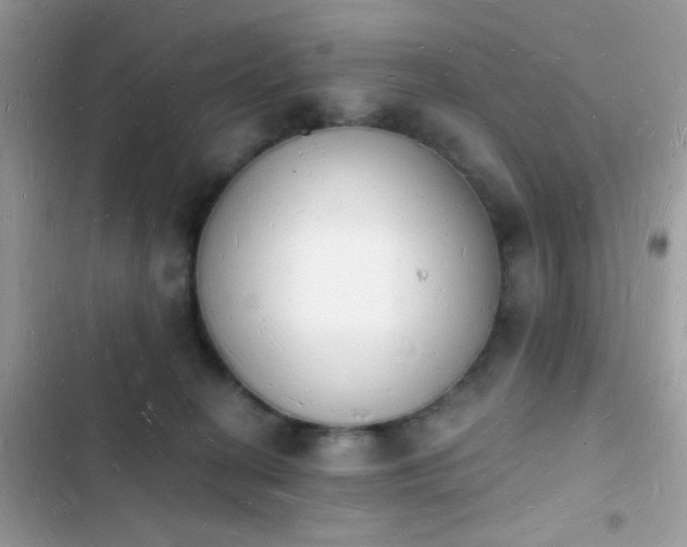 X0000103970274200809191541