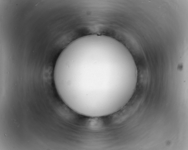 X0000103970275200809191541