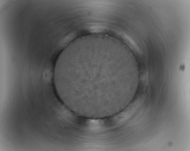 X0000103970277200809191541