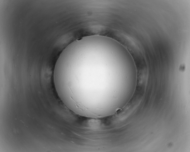 X0000103970279200809191541