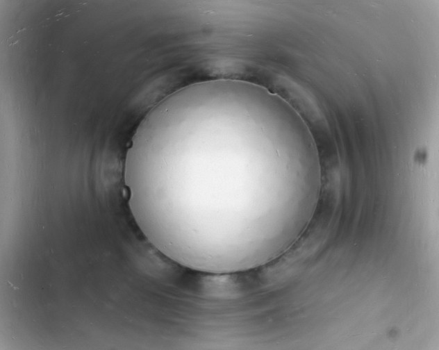 X0000103970281200809191541