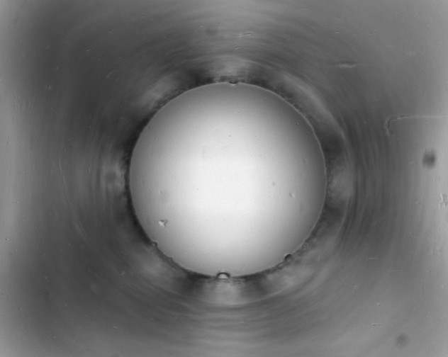 X0000103970282200809191541