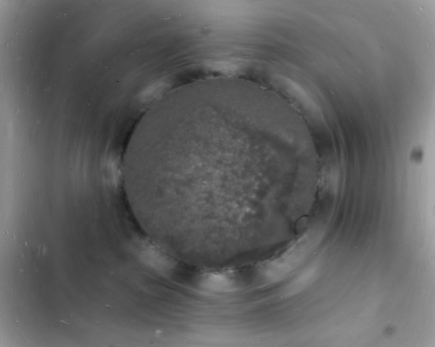 X0000103970285200809191541