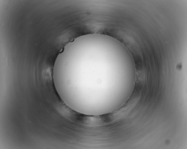 X0000103970286200809191541