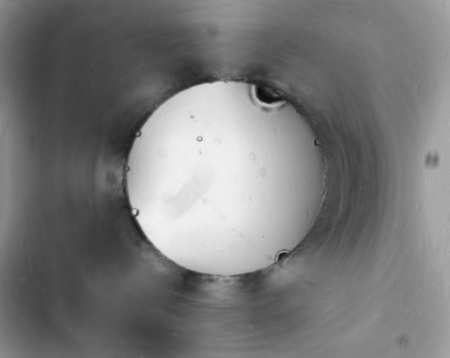 X0000103970288200809191541