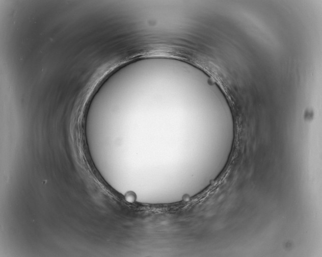 X0000103970289200809191540